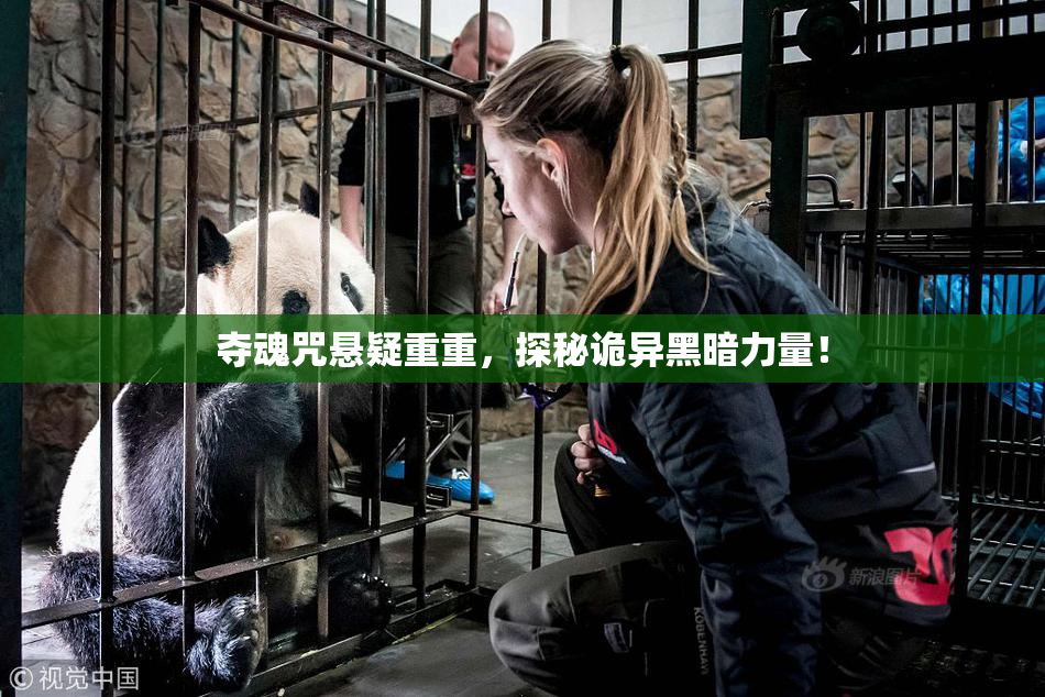 夺魂咒悬疑重重，探秘诡异黑暗力量！