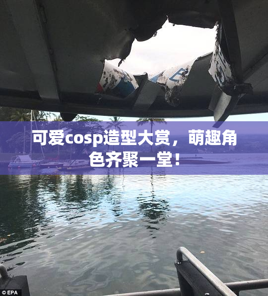 可爱cosp造型大赏，萌趣角色齐聚一堂！
