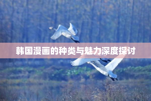 韩国漫画的种类与魅力深度探讨