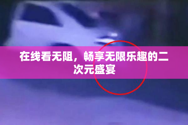 在线看无阻，畅享无限乐趣的二次元盛宴