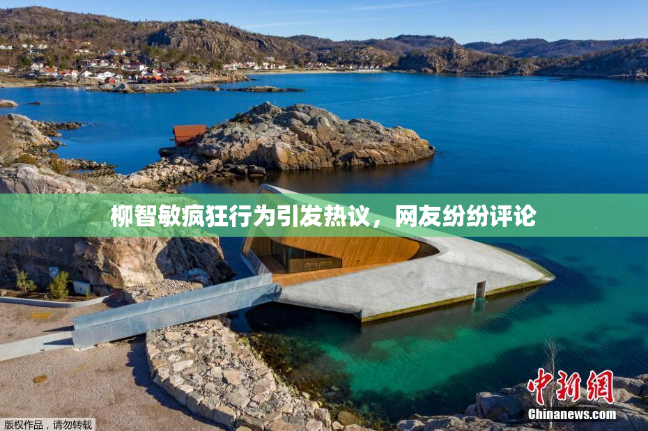 柳智敏疯狂行为引发热议，网友纷纷评论