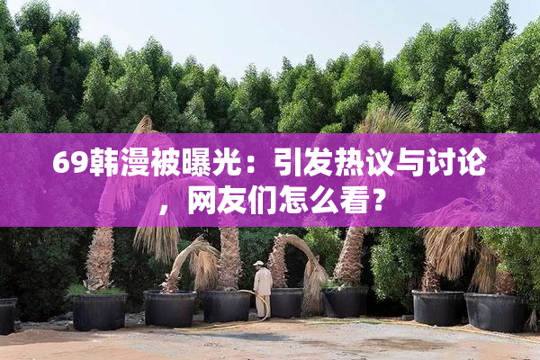 69韩漫被曝光：引发热议与讨论，网友们怎么看？