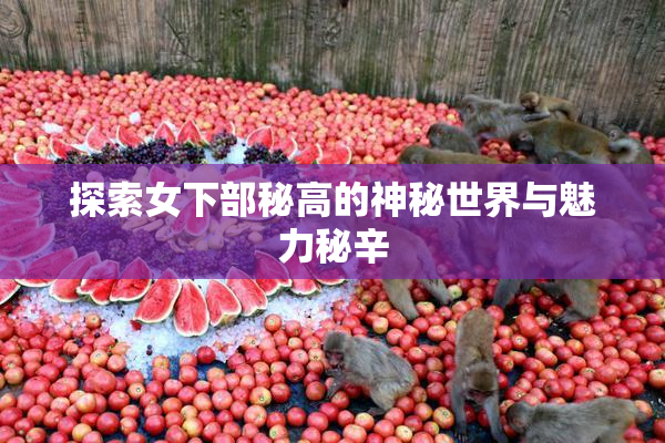 探索女下部秘高的神秘世界与魅力秘辛