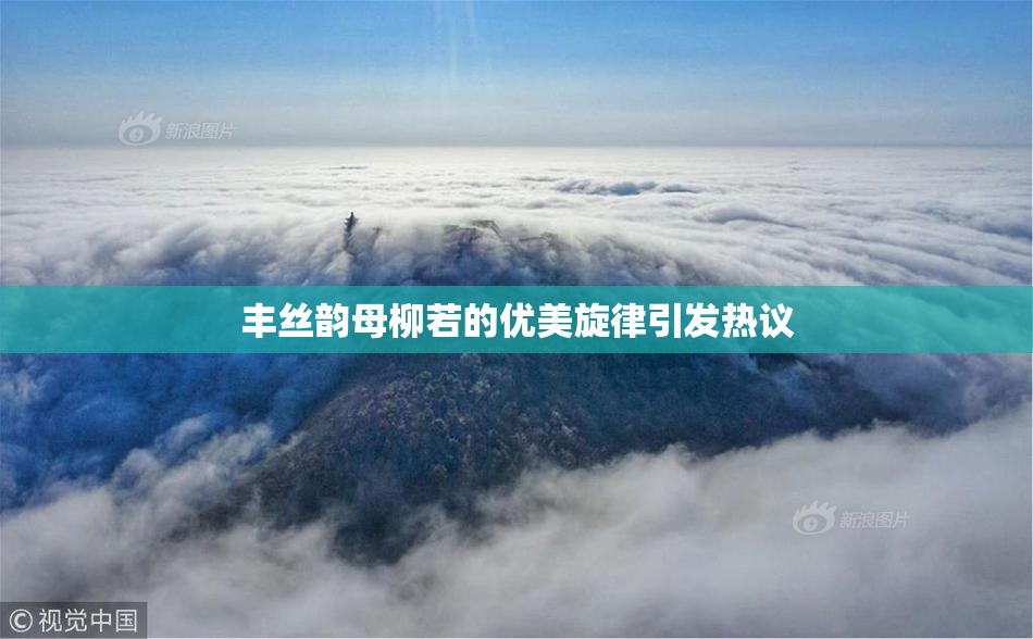 丰丝韵母柳若的优美旋律引发热议