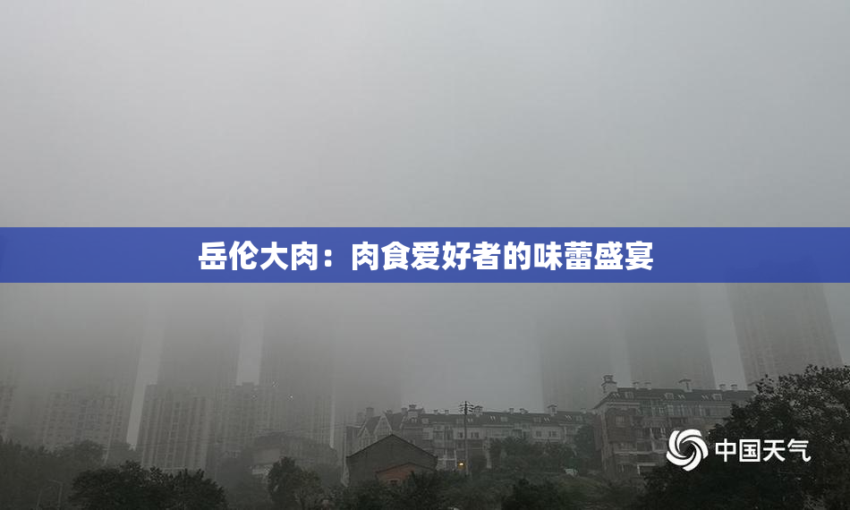 岳伦大肉：肉食爱好者的味蕾盛宴