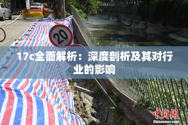 17c全面解析：深度剖析及其对行业的影响