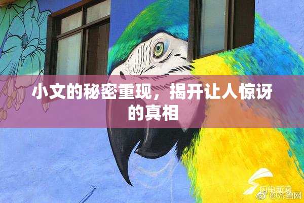 小文的秘密重现，揭开让人惊讶的真相
