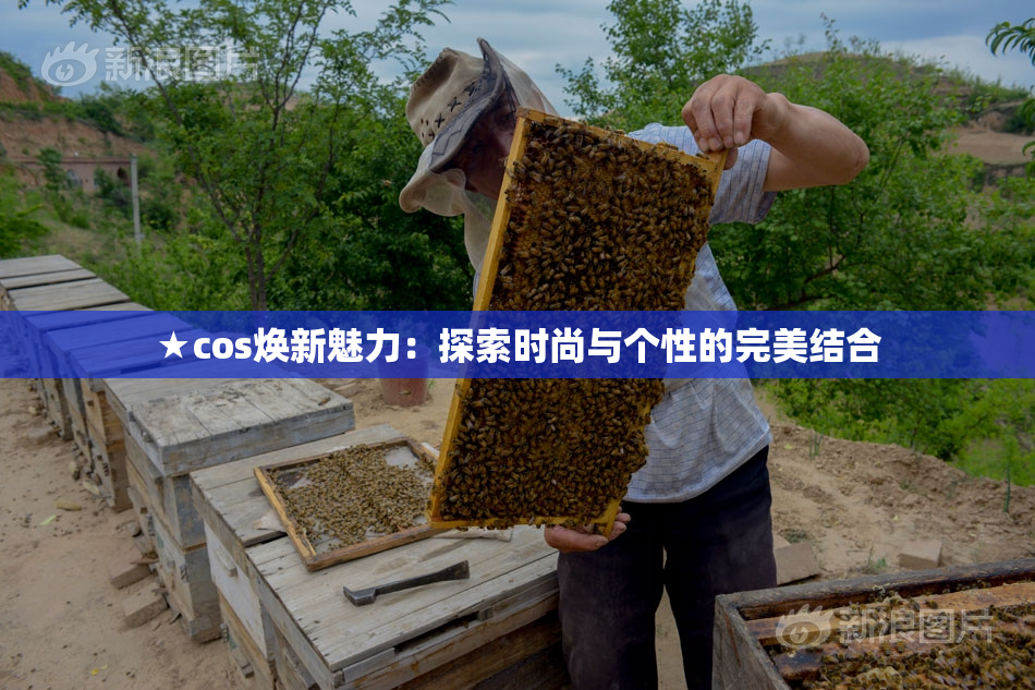 ★cos焕新魅力：探索时尚与个性的完美结合