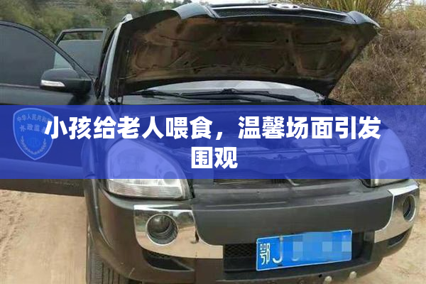 小孩给老人喂食，温馨场面引发围观