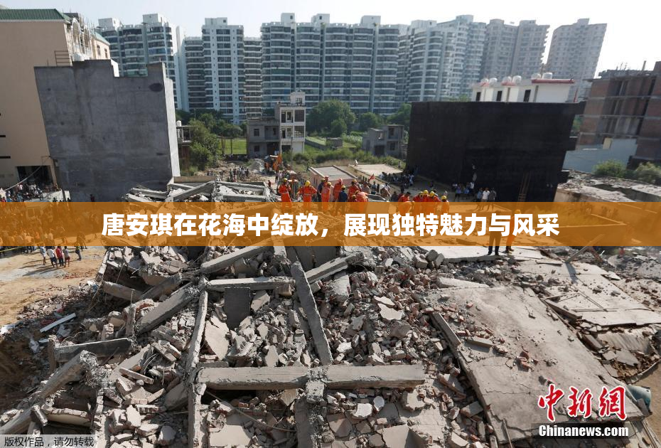 唐安琪在花海中绽放，展现独特魅力与风采
