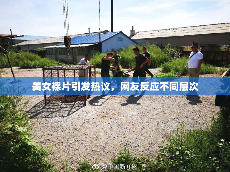 美女裸片引发热议，网友反应不同层次