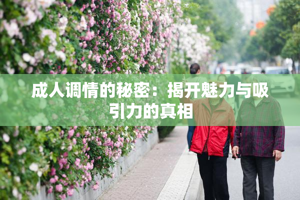 成人调情的秘密：揭开魅力与吸引力的真相