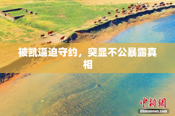 被凯逼迫守约，突显不公暴露真相
