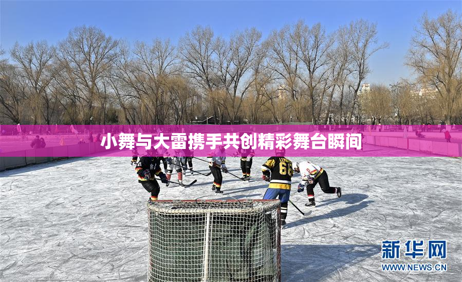 小舞与大雷携手共创精彩舞台瞬间