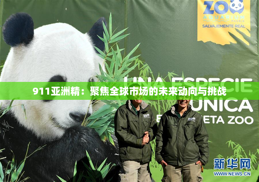 911亚洲精：聚焦全球市场的未来动向与挑战
