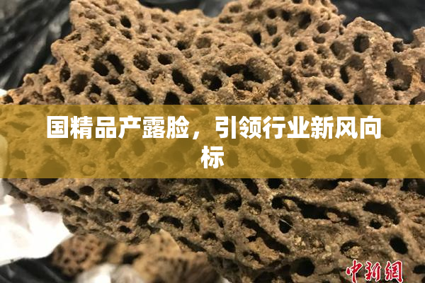 国精品产露脸，引领行业新风向标