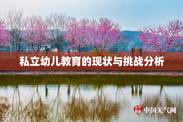 私立幼儿教育的现状与挑战分析