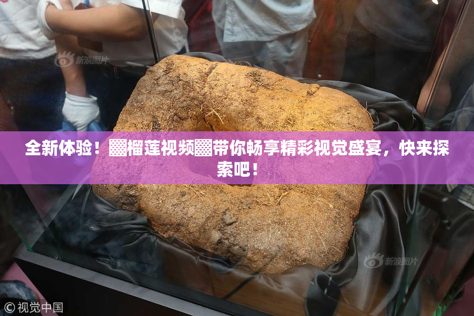 全新体验！▓榴莲视频▓带你畅享精彩视觉盛宴，快来探索吧！
