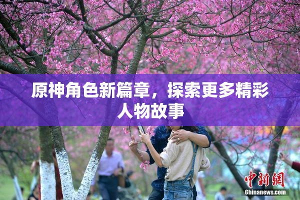 原神角色新篇章，探索更多精彩人物故事