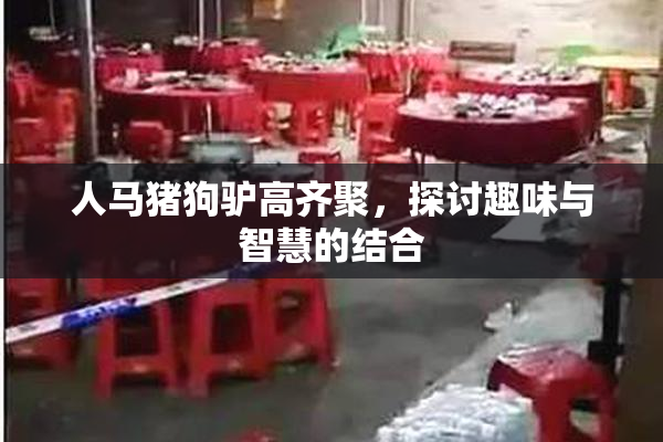 人马猪狗驴高齐聚，探讨趣味与智慧的结合