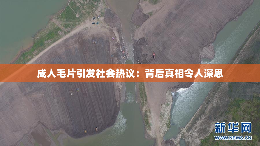 成人毛片引发社会热议：背后真相令人深思