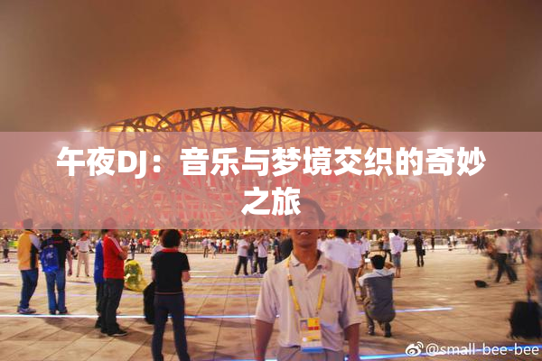 午夜DJ：音乐与梦境交织的奇妙之旅