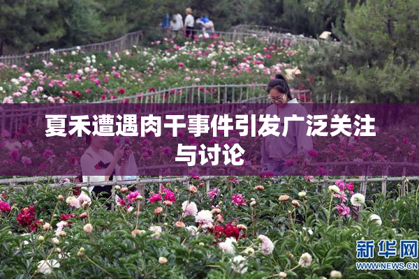 夏禾遭遇肉干事件引发广泛关注与讨论
