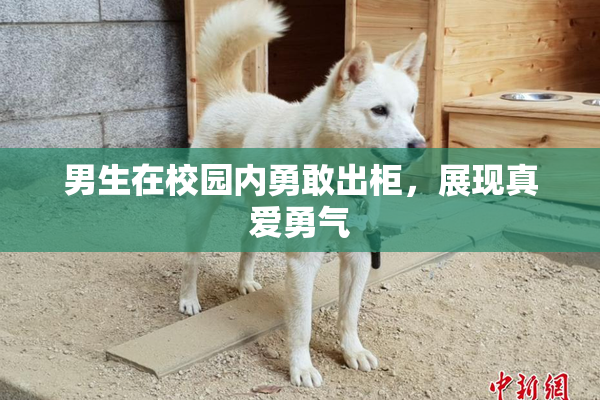 男生在校园内勇敢出柜，展现真爱勇气