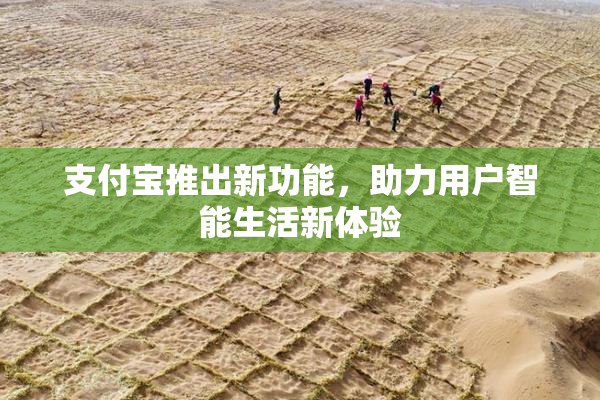 支付宝推出新功能，助力用户智能生活新体验