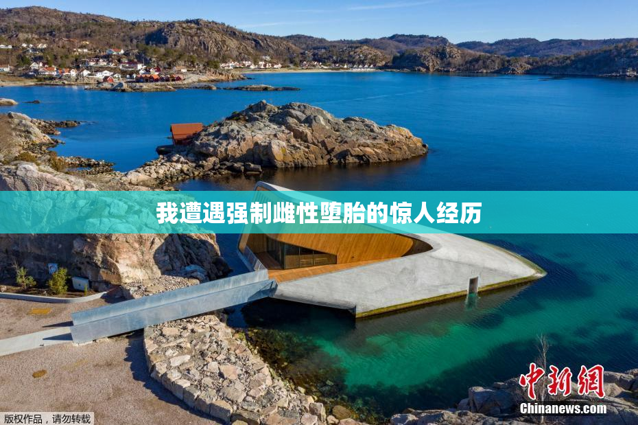 我遭遇强制雌性堕胎的惊人经历