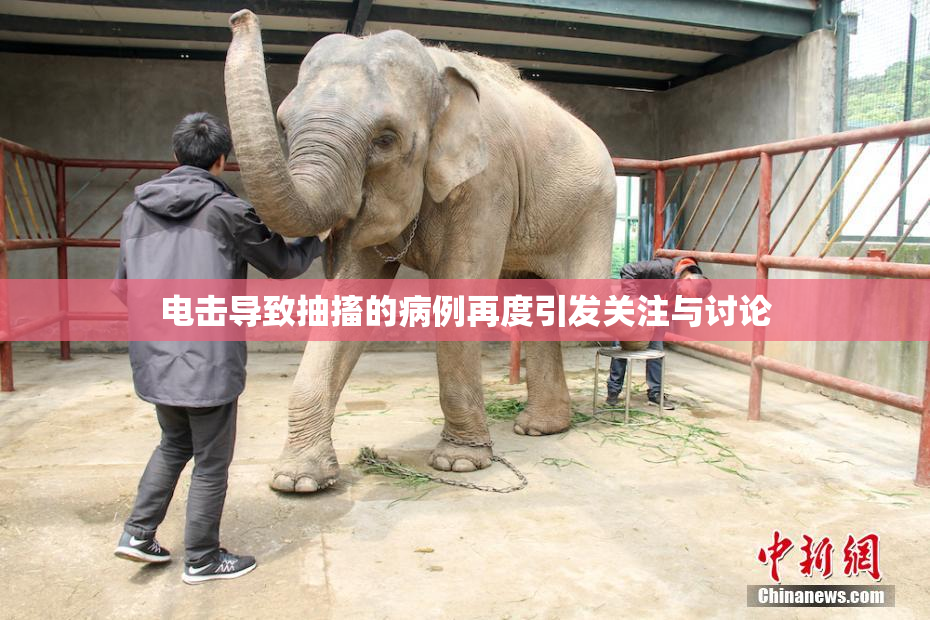 电击导致抽搐的病例再度引发关注与讨论