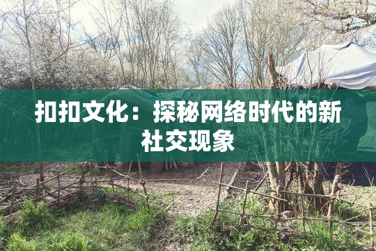 扣扣文化：探秘网络时代的新社交现象