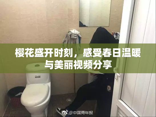樱花盛开时刻，感受春日温暖与美丽视频分享
