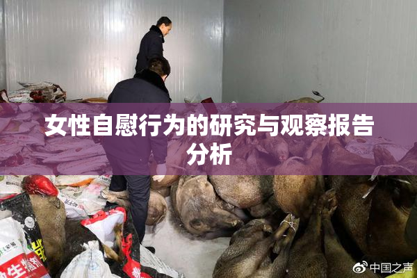 女性自慰行为的研究与观察报告分析
