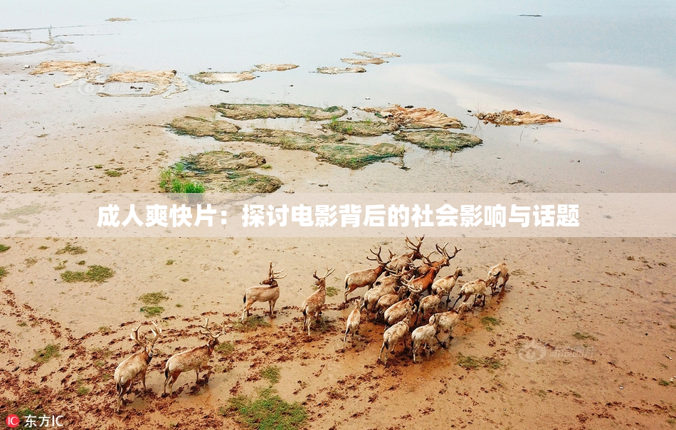 成人爽快片：探讨电影背后的社会影响与话题