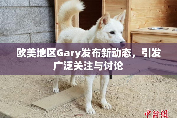 欧美地区Gary发布新动态，引发广泛关注与讨论