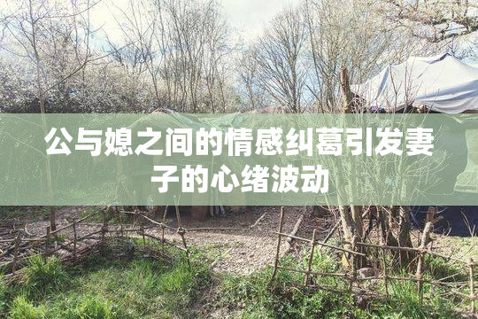 公与媳之间的情感纠葛引发妻子的心绪波动