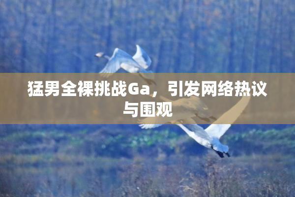 猛男全裸挑战Ga，引发网络热议与围观