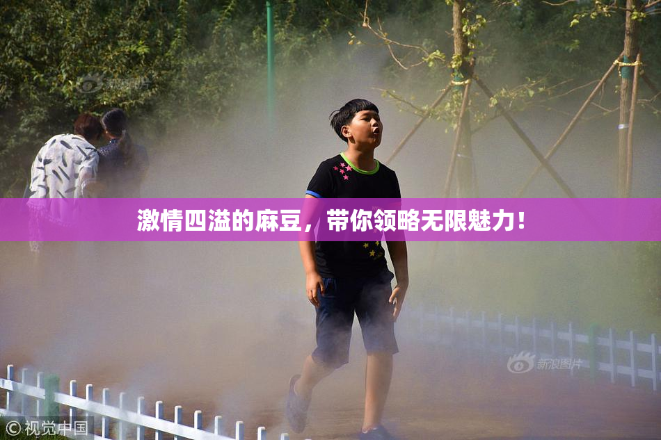 激情四溢的麻豆，带你领略无限魅力！