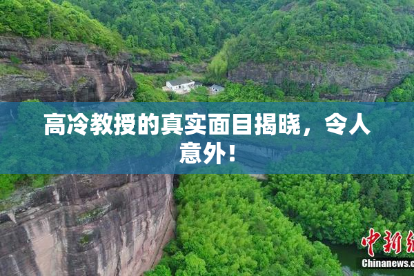 高冷教授的真实面目揭晓，令人意外！