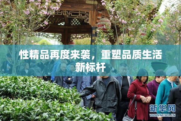 性精品再度来袭，重塑品质生活新标杆