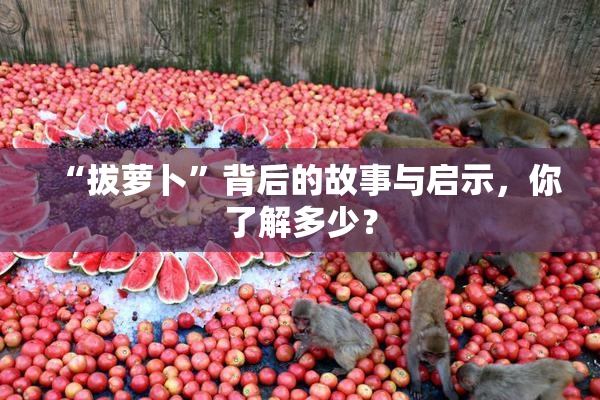 “拔萝卜”背后的故事与启示，你了解多少？