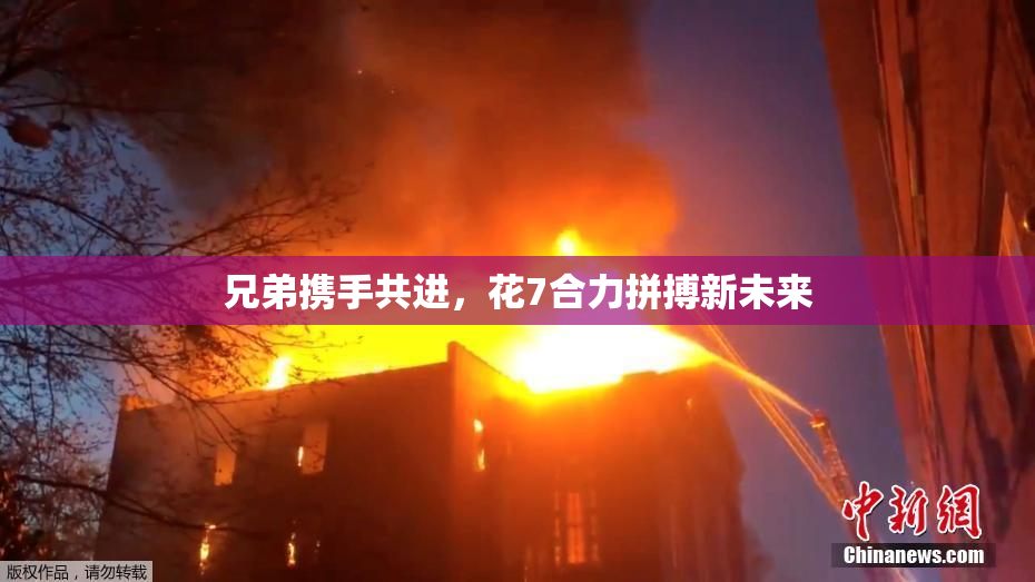 兄弟携手共进，花7合力拼搏新未来