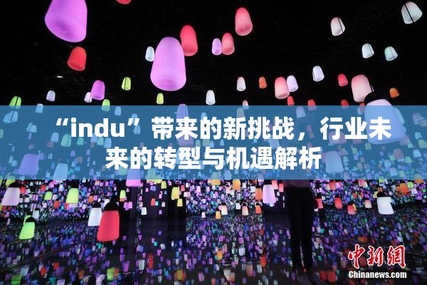 “indu”带来的新挑战，行业未来的转型与机遇解析