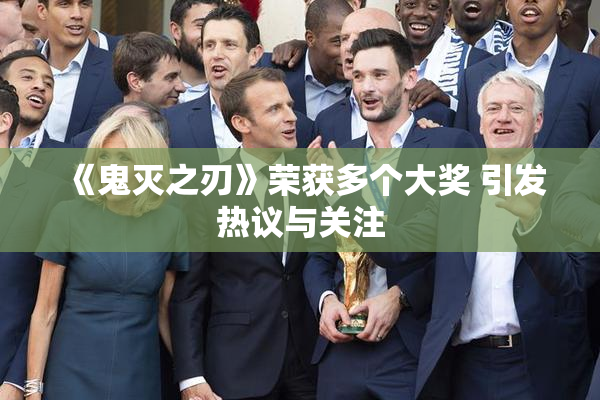 《鬼灭之刃》荣获多个大奖 引发热议与关注