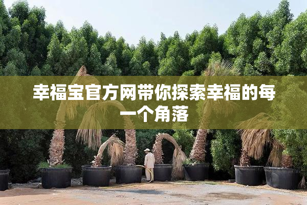 幸福宝官方网带你探索幸福的每一个角落