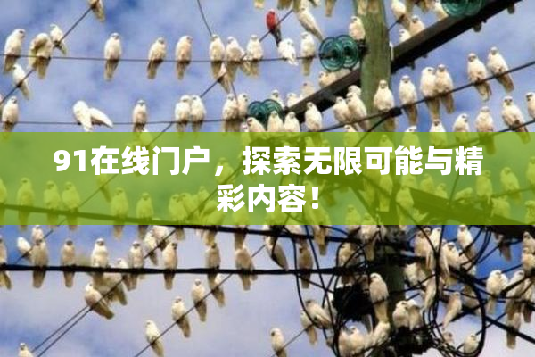 91在线门户，探索无限可能与精彩内容！