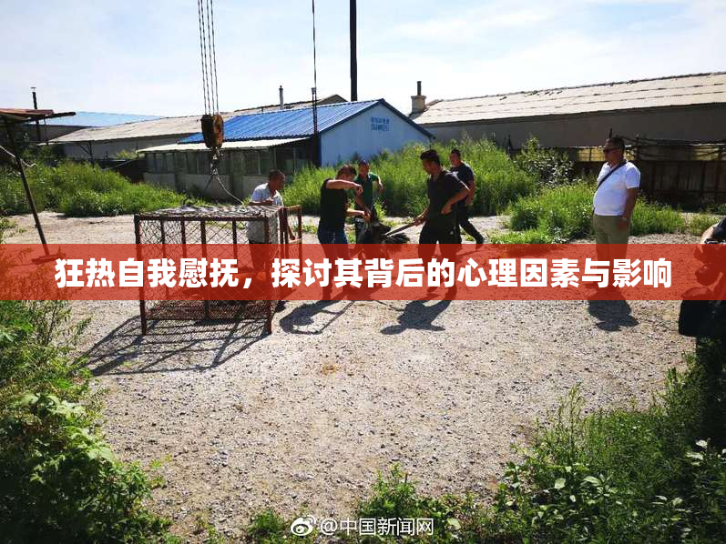 狂热自我慰抚，探讨其背后的心理因素与影响