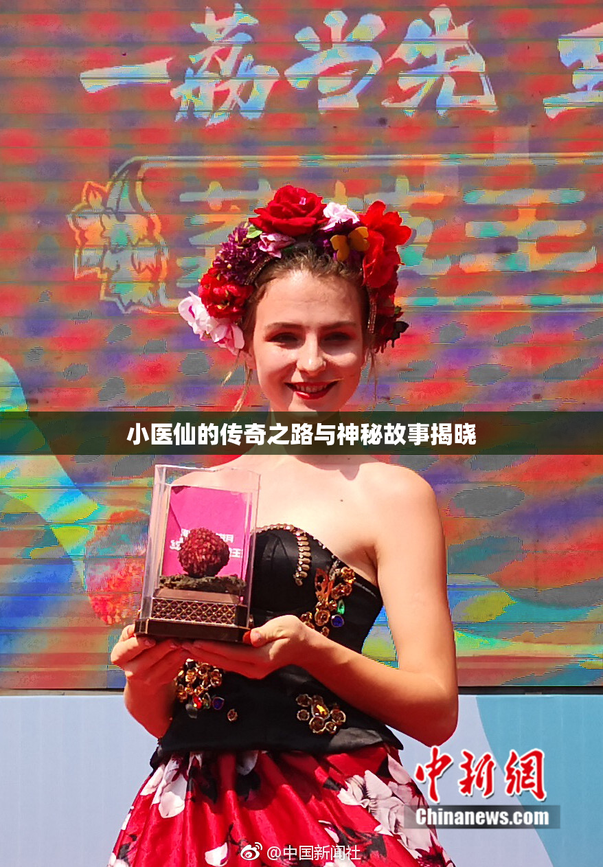 小医仙的传奇之路与神秘故事揭晓