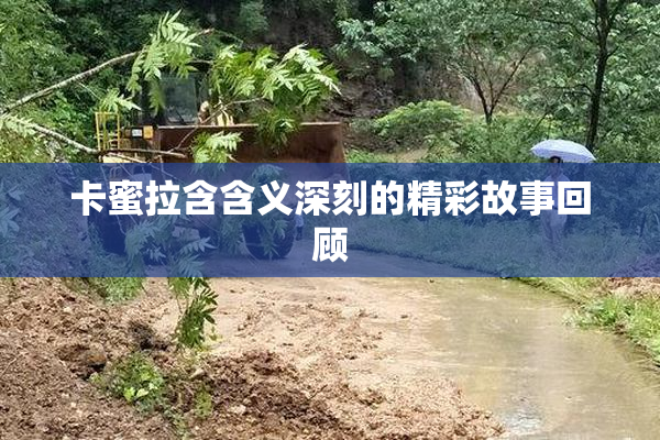 卡蜜拉含含义深刻的精彩故事回顾